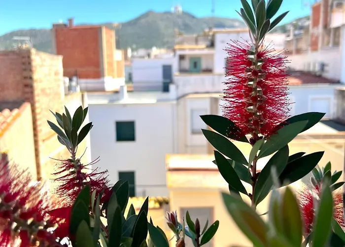 Гостевой дом Escondite Con Terraza Compartida En La Azotea