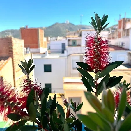 게스트하우스 Escondite Con Terraza Compartida En La Azotea