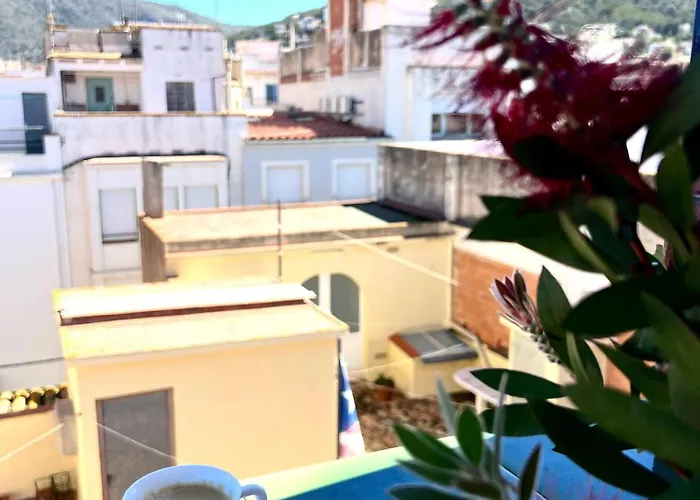 게스트하우스 Escondite Con Terraza Compartida En La Azotea 로지즈